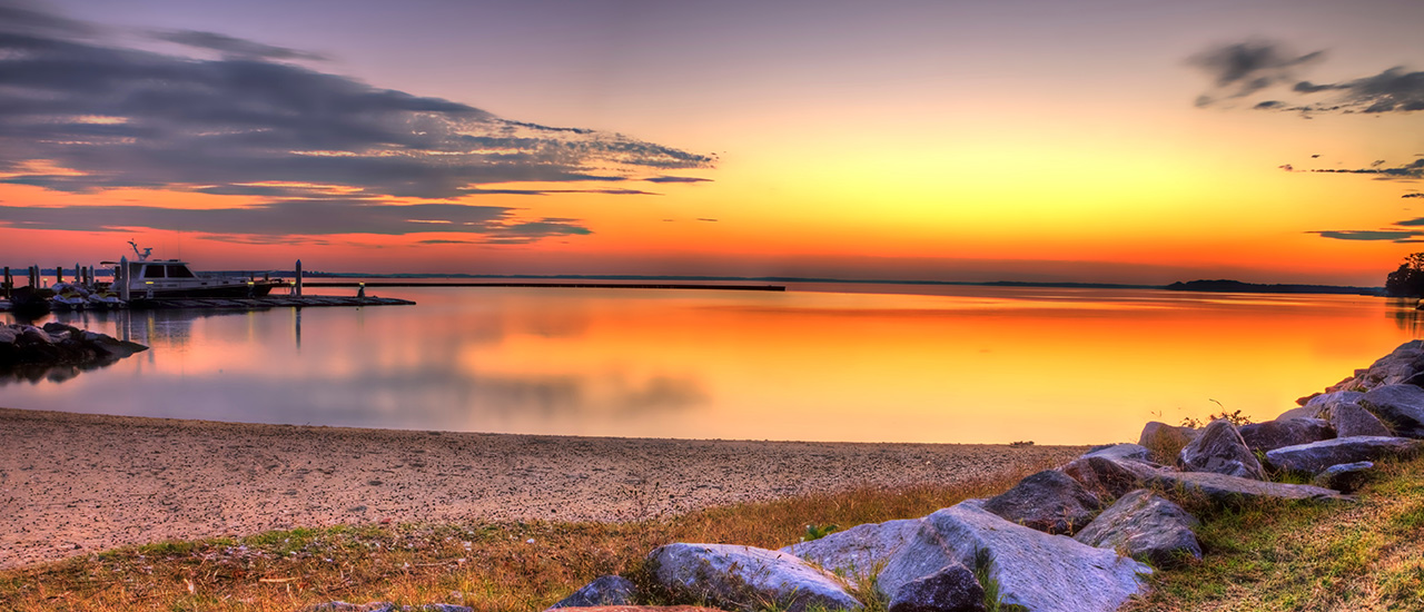 page header image
