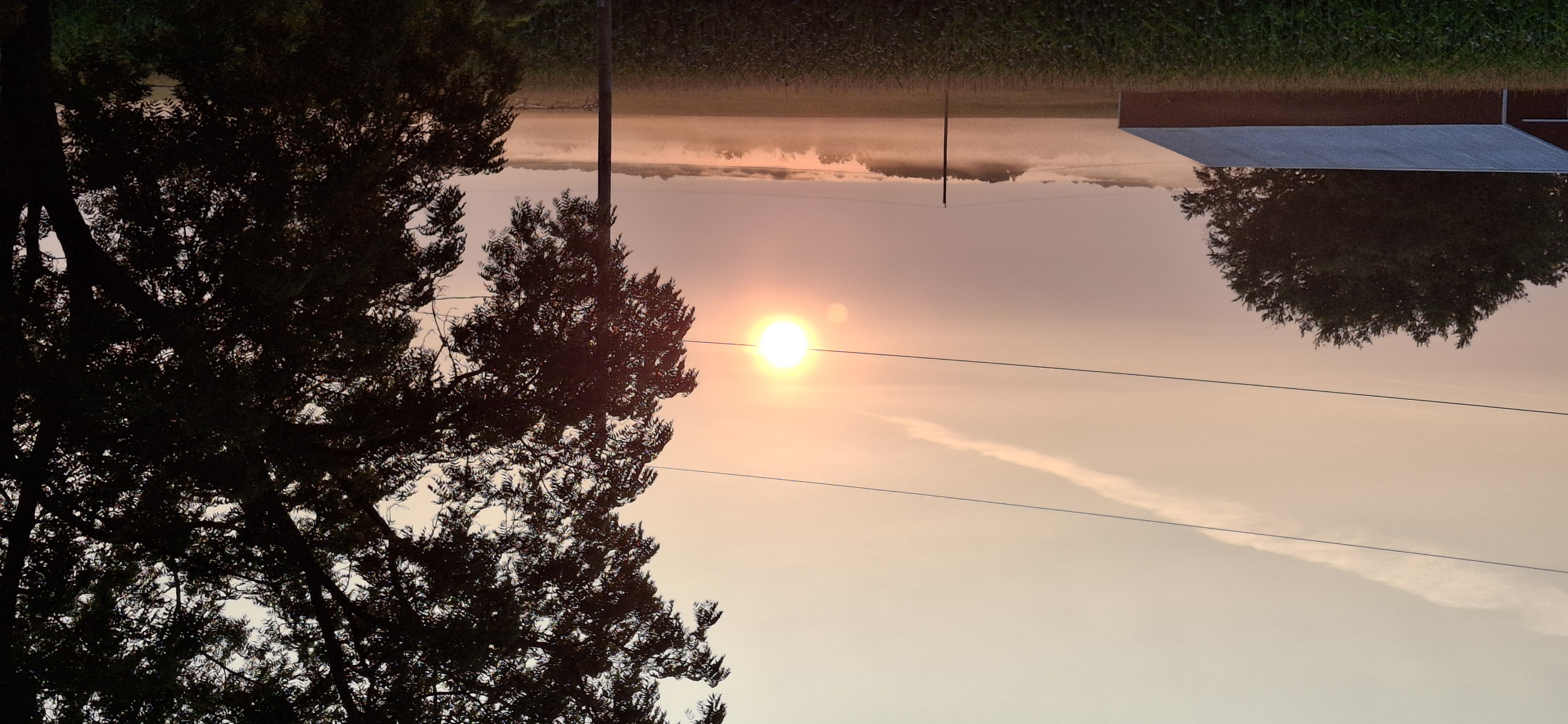 page header image