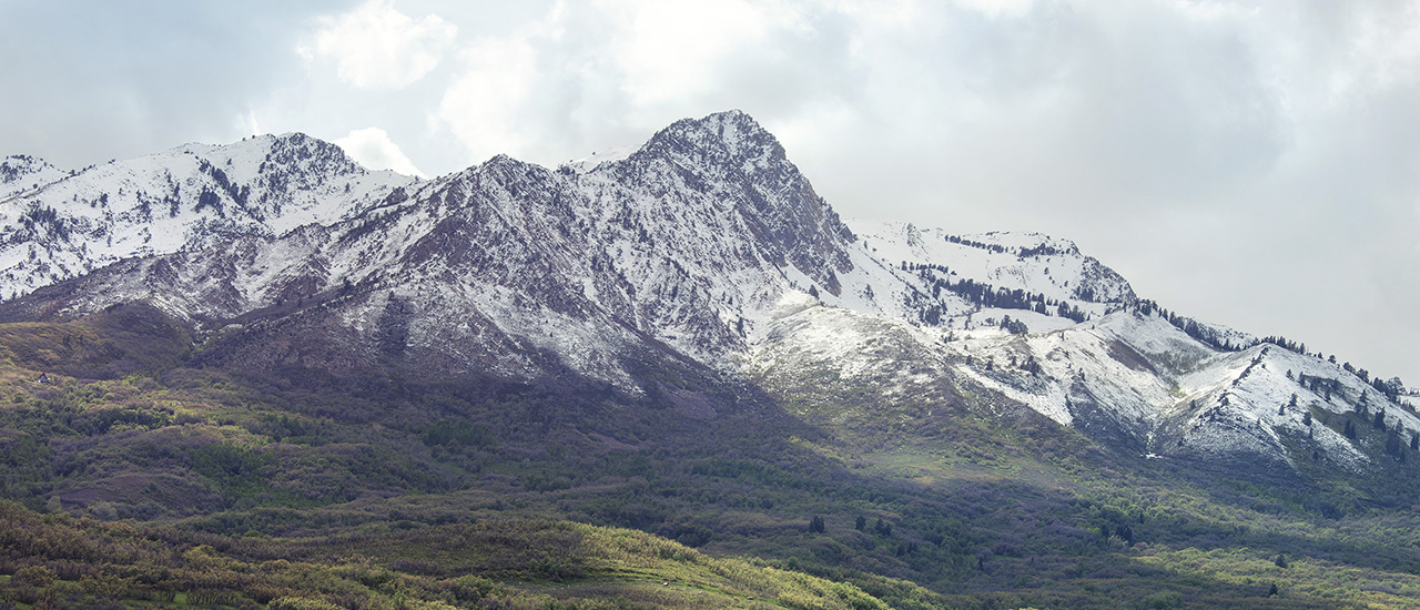 page header image