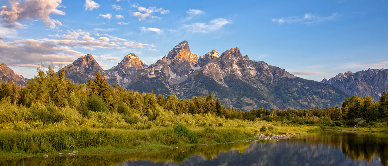page header image